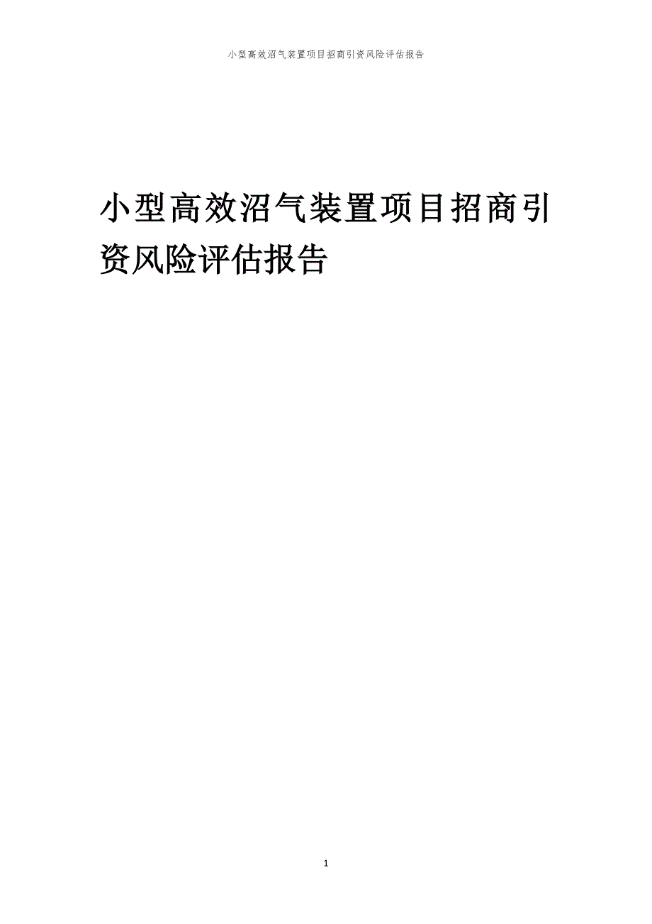 小型高效沼气装置项目招商引资风险评估报告_第1页