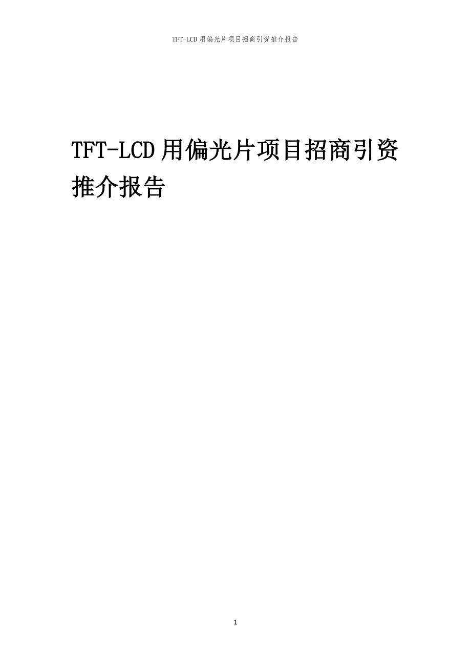 TFT-LCD用偏光片项目招商引资推介报告_第1页