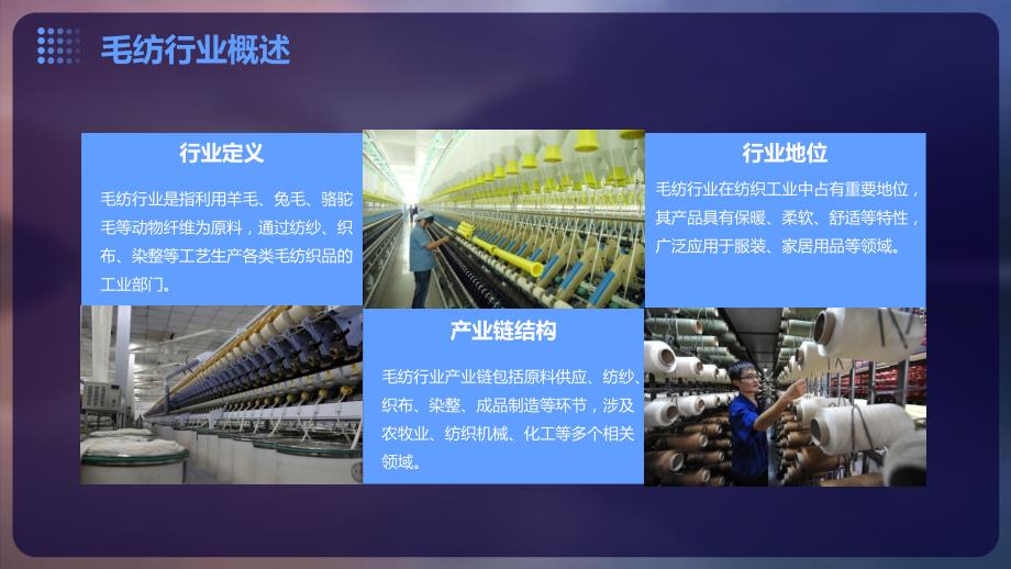 毛纺行业2024年生产及制度相关_第4页
