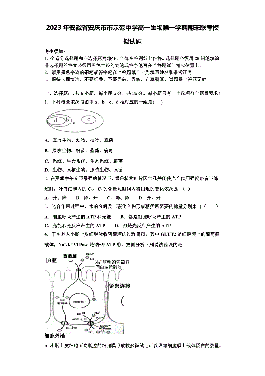 2023年安徽省安庆市市示范中学高一生物第一学期期末联考模拟试题含解析_第1页