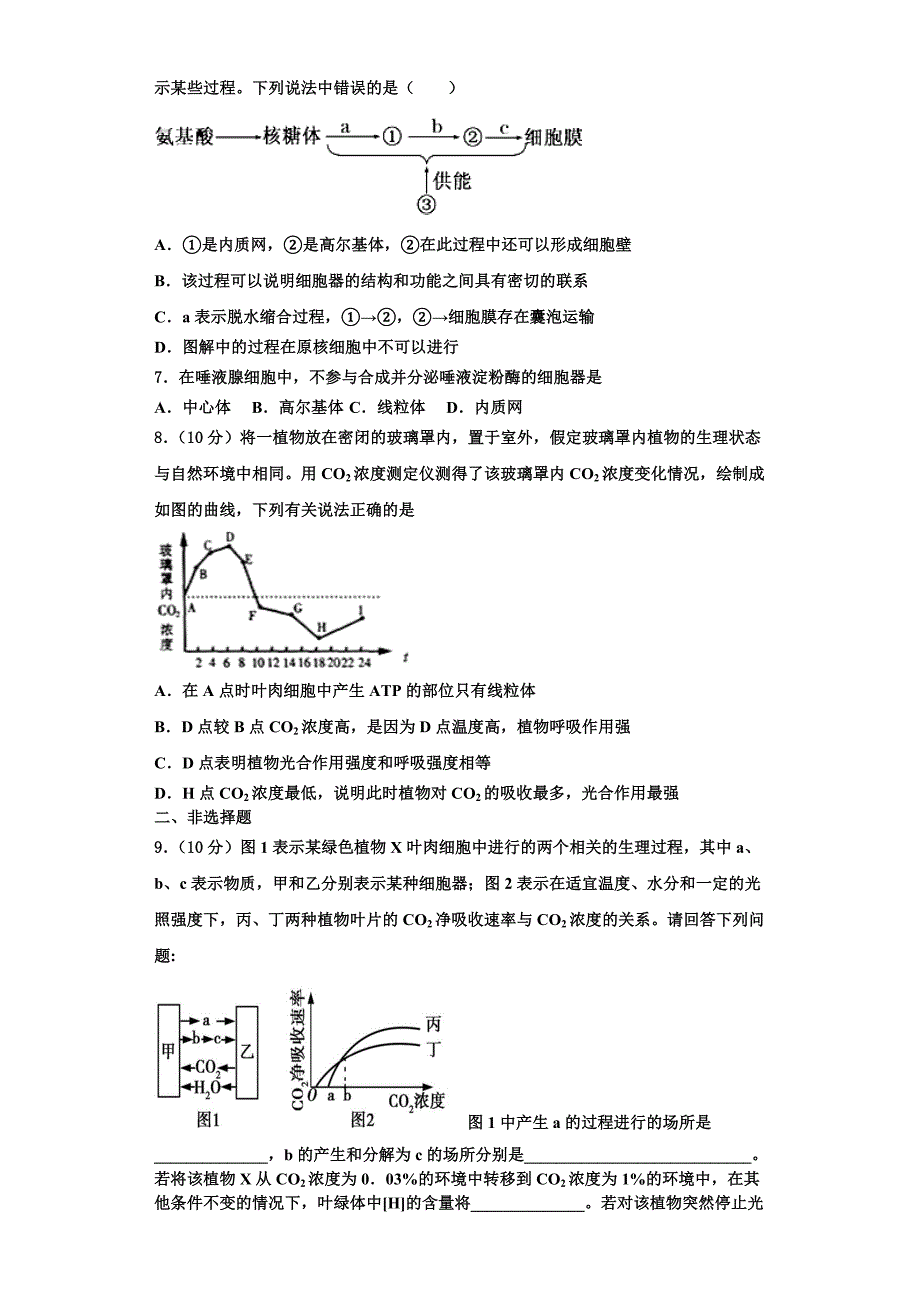 安徽省定远县张桥中学2023-2024学年高一生物第一学期期末经典模拟试题含解析_第2页