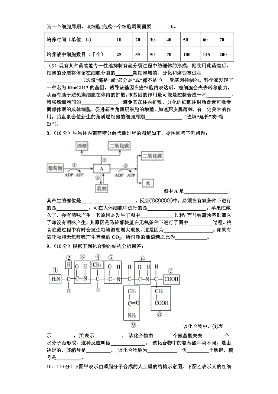 2023-2024学年湖南省邵阳市育英高级中学生物高一上期末综合测试试题含解析_第3页