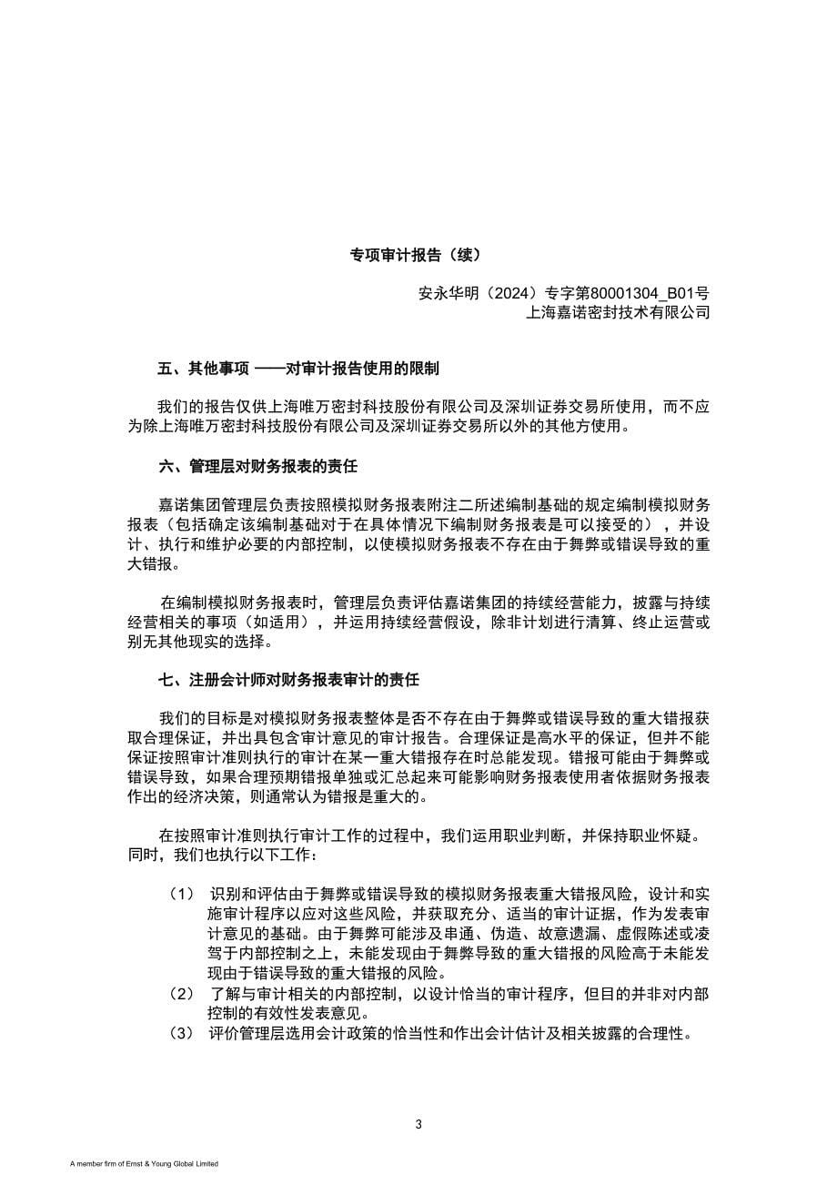 唯万密封：上海嘉诺密封技术有限公司审计报告_第5页