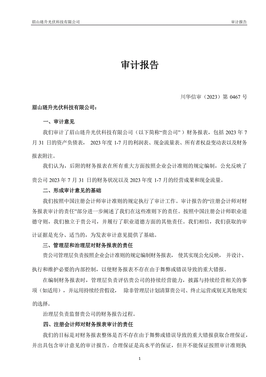 琏升科技：眉山琏升光伏科技有限公司2023年1-7月审计报告_第3页