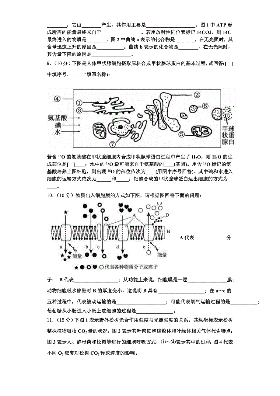 2024届广东省广州外国语学校生物高一上期末经典模拟试题含解析_第3页