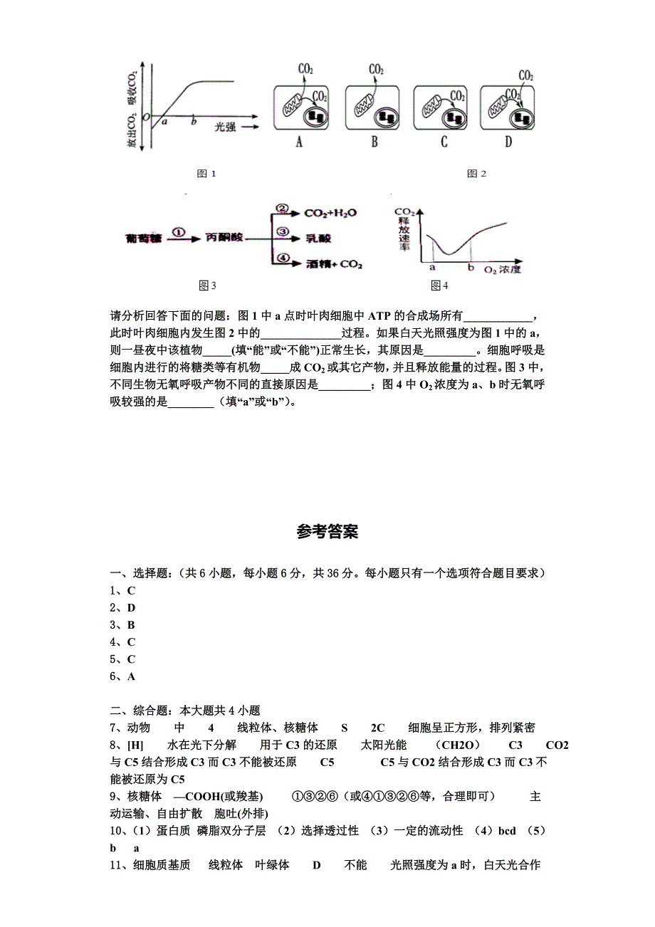 2024届广东省广州外国语学校生物高一上期末经典模拟试题含解析_第4页