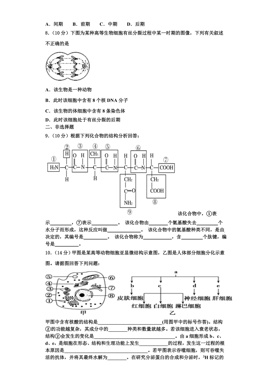 2023-2024学年广东省-北京师范大学东莞石竹附属学校高一生物第一学期期末达标检测试题含解析_第2页