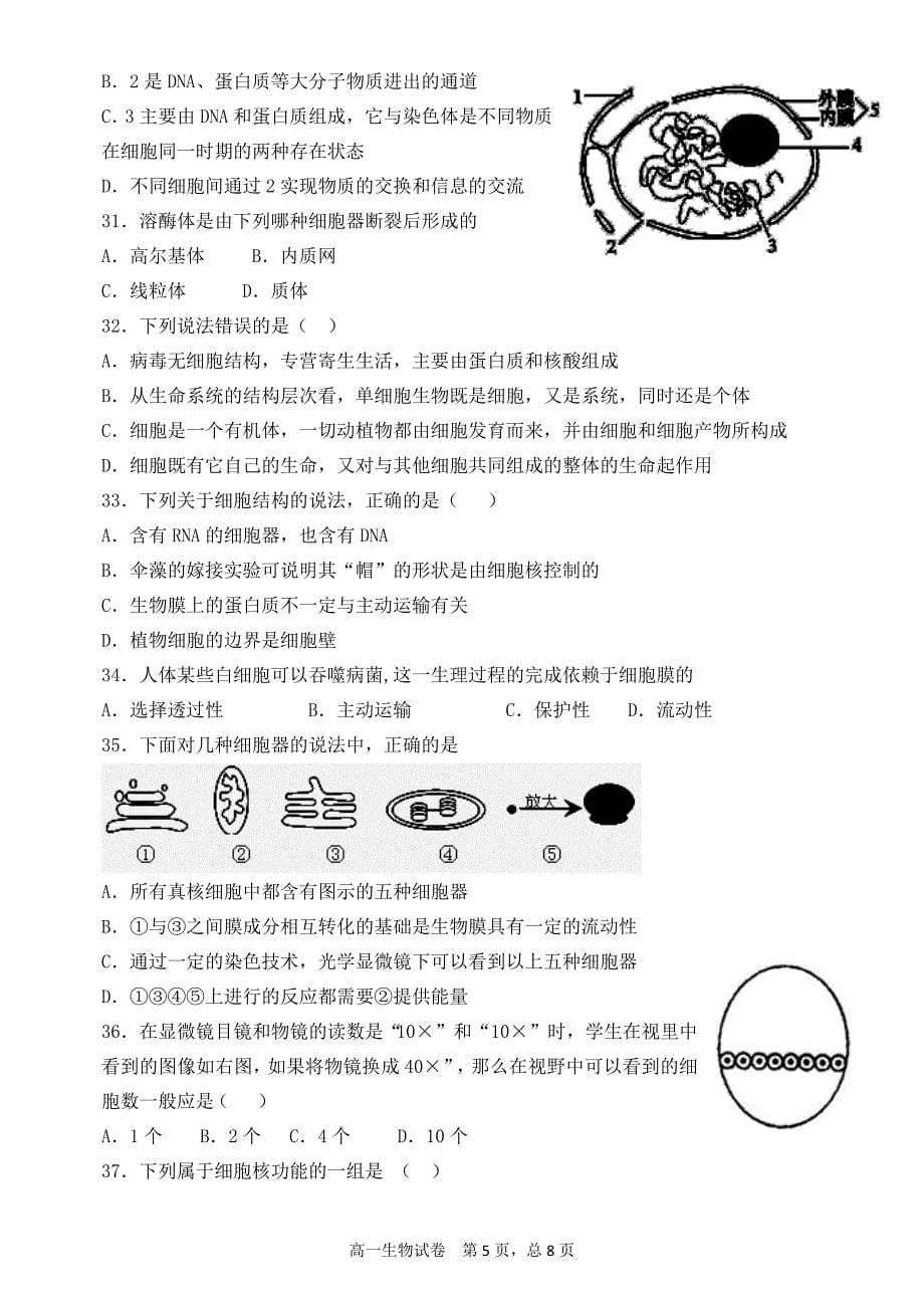 高一上学期期中考试生物试卷（人教A版）_第5页