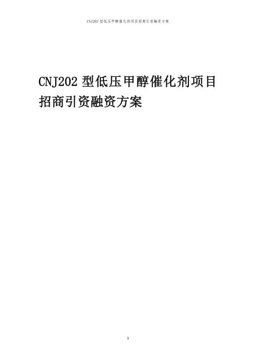 CNJ202型低压甲醇催化剂项目招商引资融资方案
