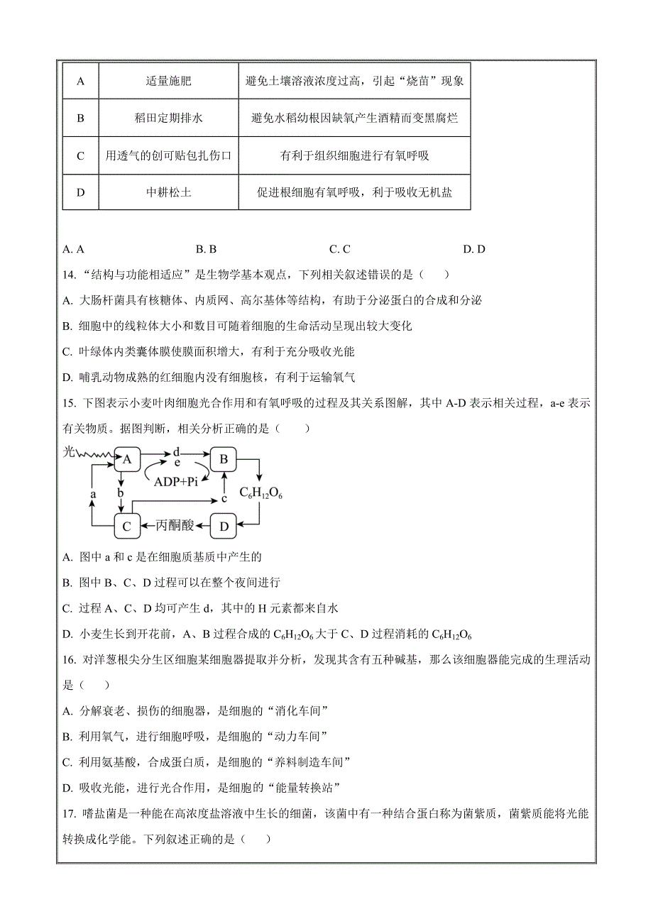 福建省厦门市第六中学2023-2024学年高一上学期1月月考生物Word版含解析_第4页