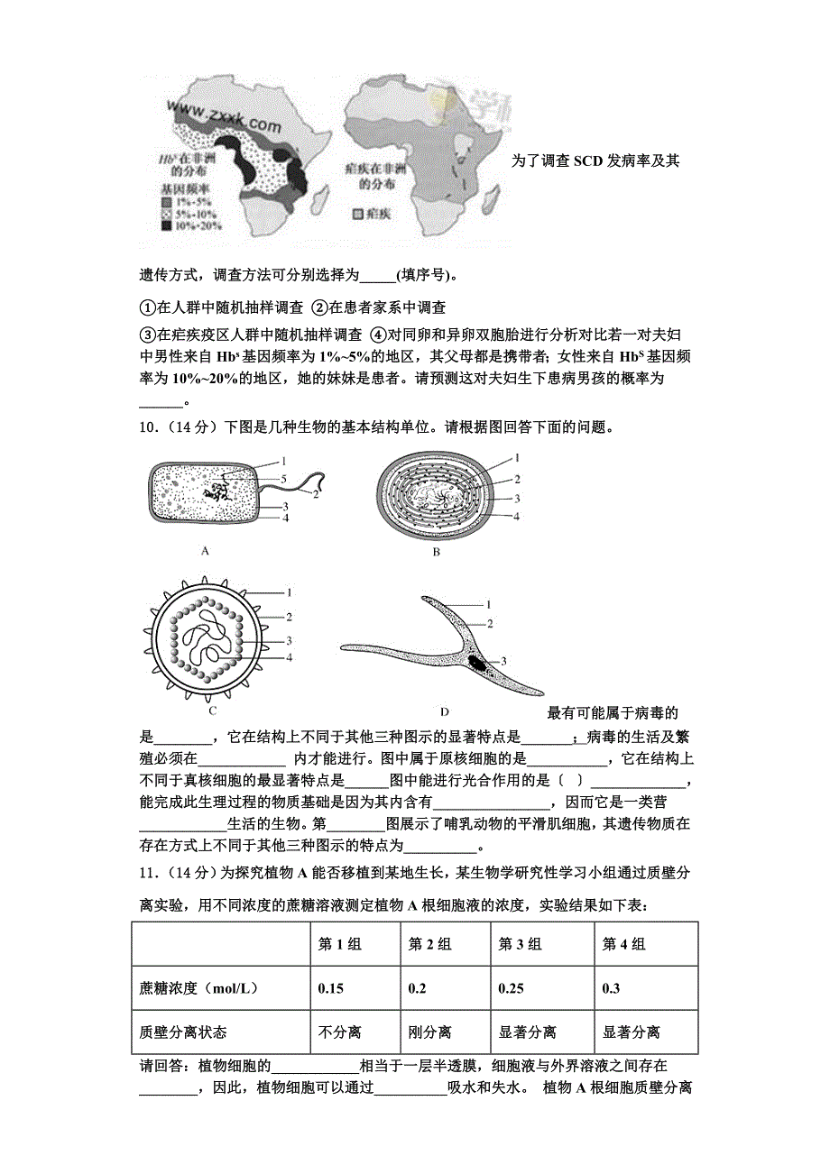 2023年天津市红桥区生物高一上期末质量跟踪监视试题含解析_第3页