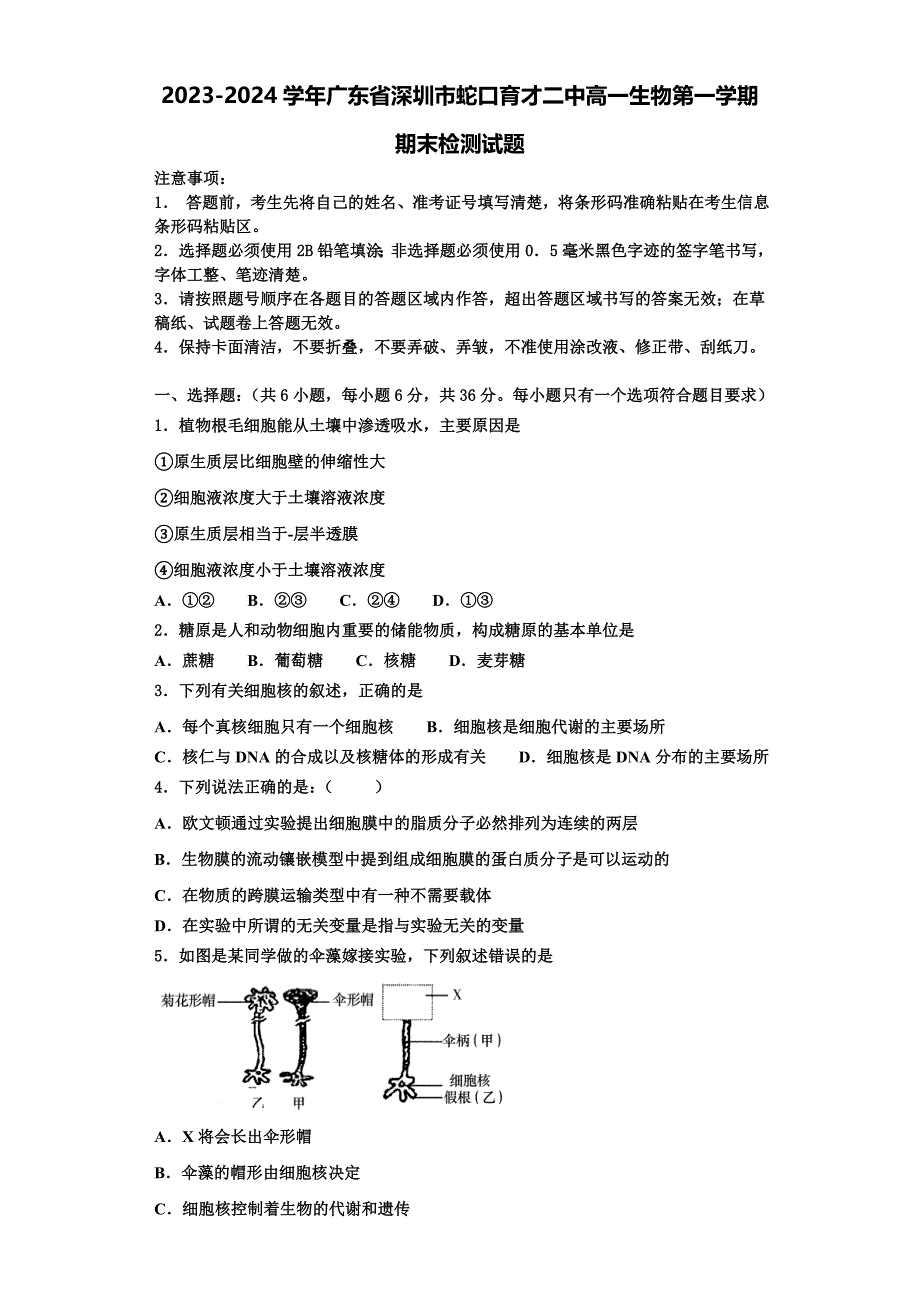 2023-2024学年广东省深圳市蛇口育才二中高一生物第一学期期末检测试题含解析_第1页