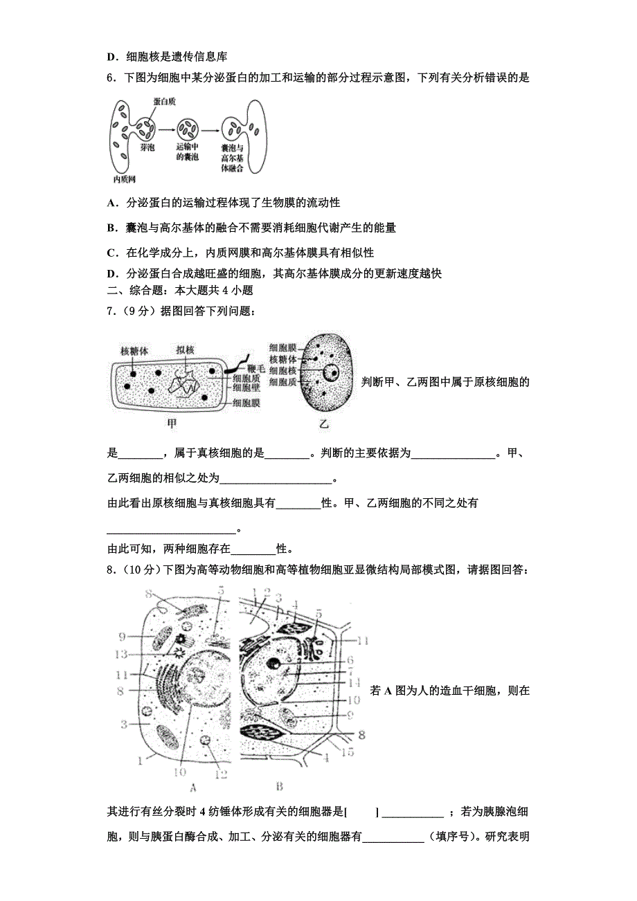 2023-2024学年广东省深圳市蛇口育才二中高一生物第一学期期末检测试题含解析_第2页