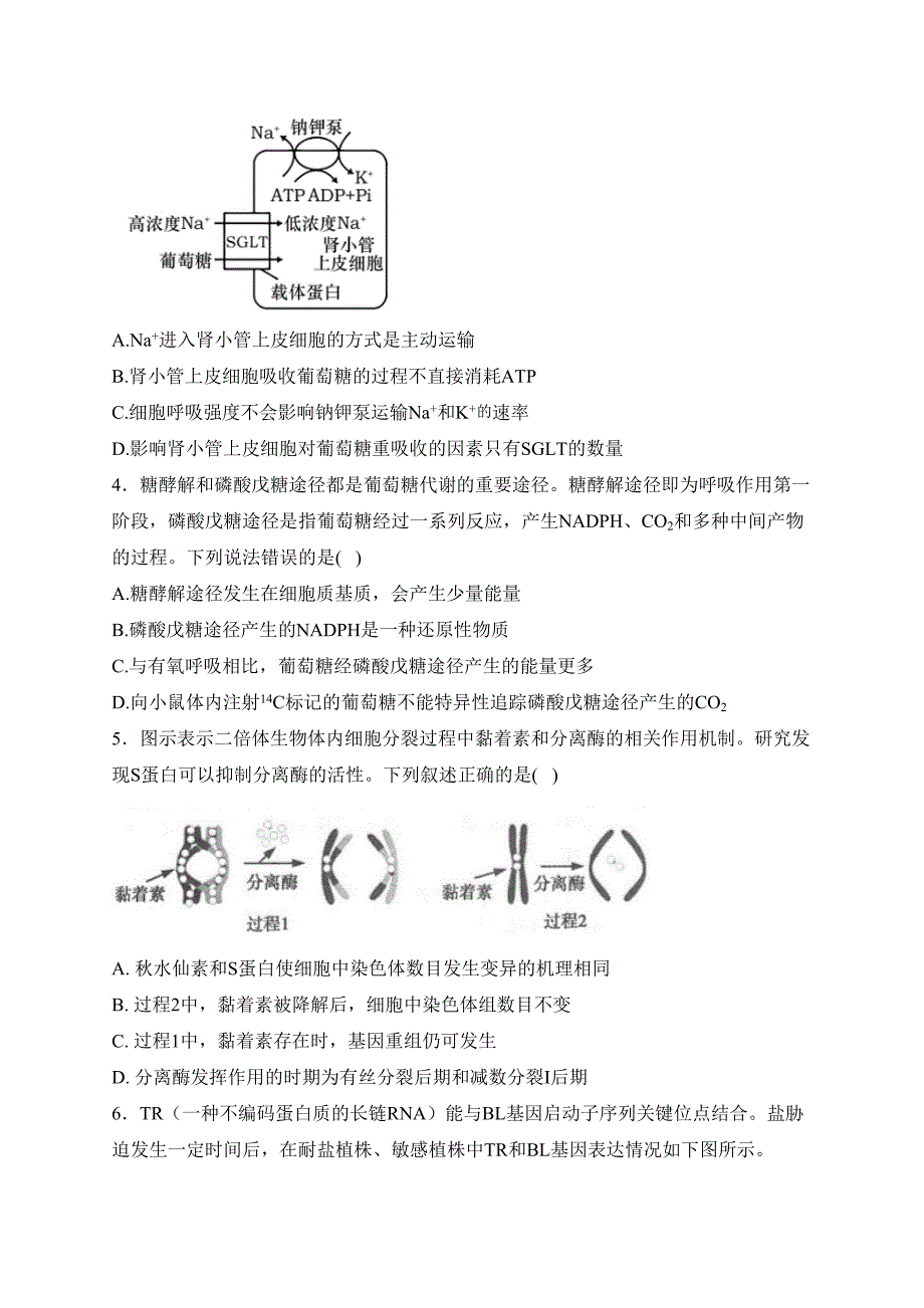 辽宁省锦州市2024届高三上学期期末考试生物试卷(含答案)_第2页