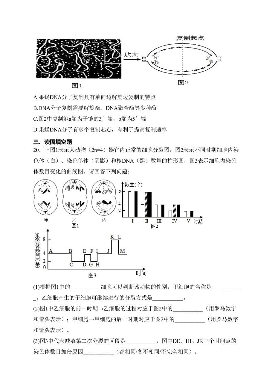 江苏省扬州市高邮市2022-2023学年高一下学期期中生物试卷(含答案)_第5页