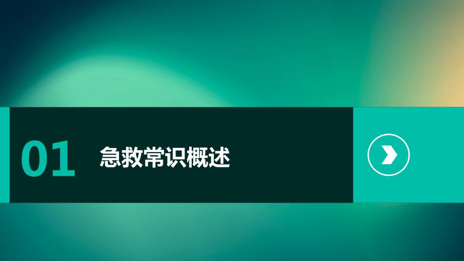 急救常识安全教育培训_第3页