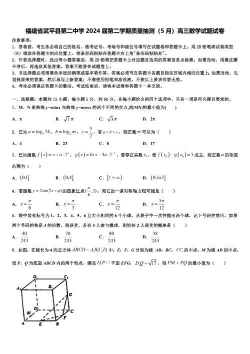 福建省武平县第二中学2024届第二学期质量抽测（5月）高三数学试题试卷