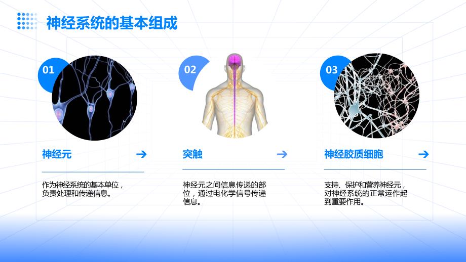 神经内科业务培训课件_第4页