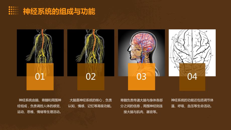 神经内科培训课件_第4页