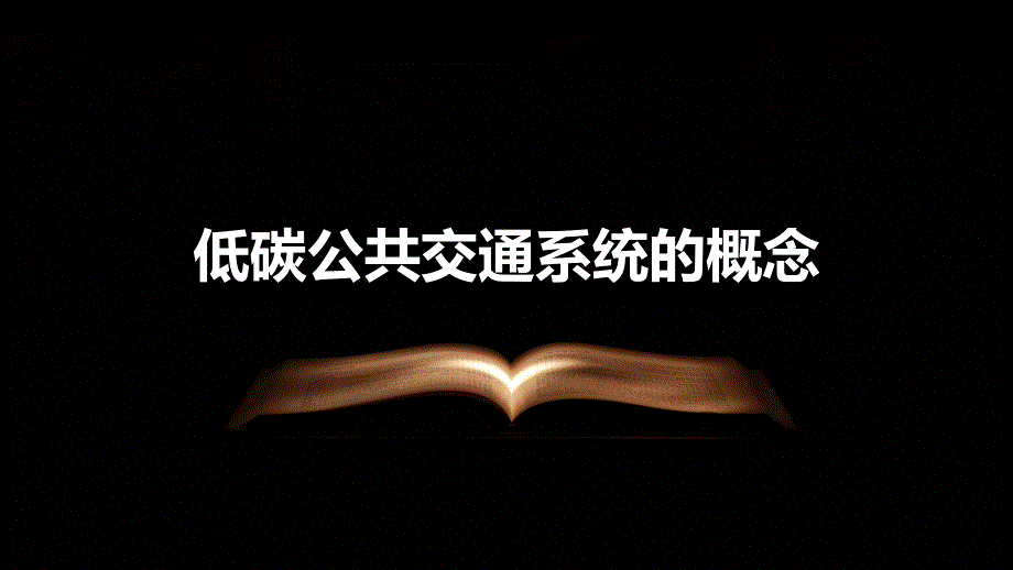 强化低碳公共交通系统_第4页