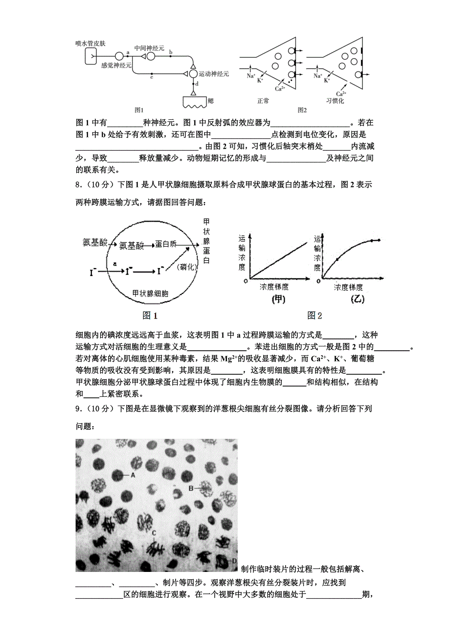 河南省郑州市第五中学2023-2024学年生物高一上期末达标测试试题含解析_第2页