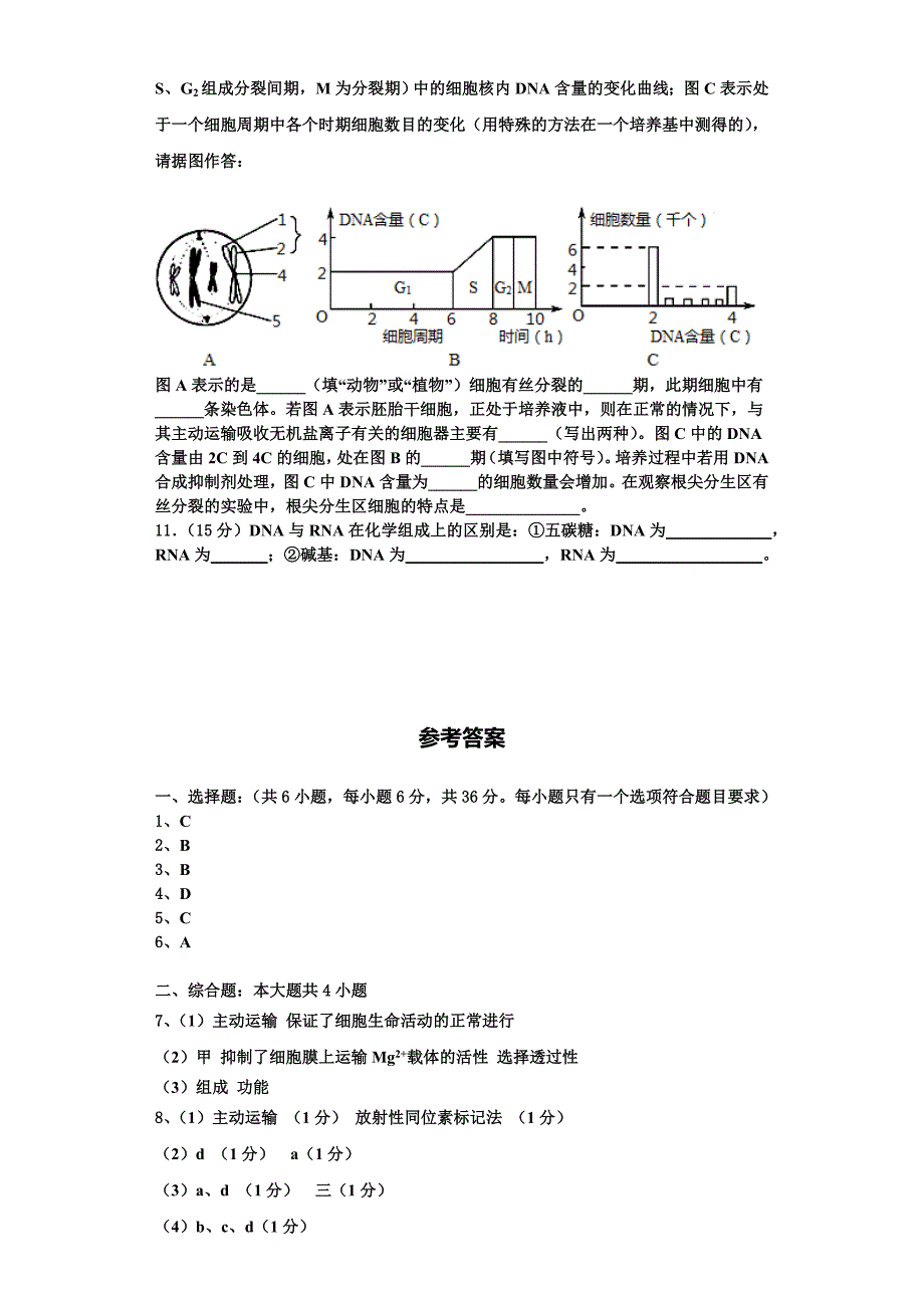 2024届北京市首都师范大学附属回龙观育新学校生物高一上期末复习检测试题含解析_第4页