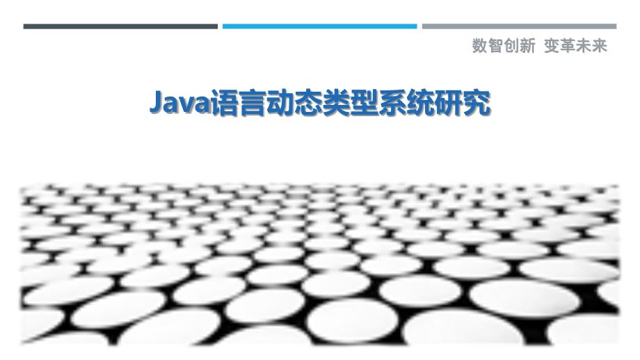 Java语言动态类型系统研究_第1页