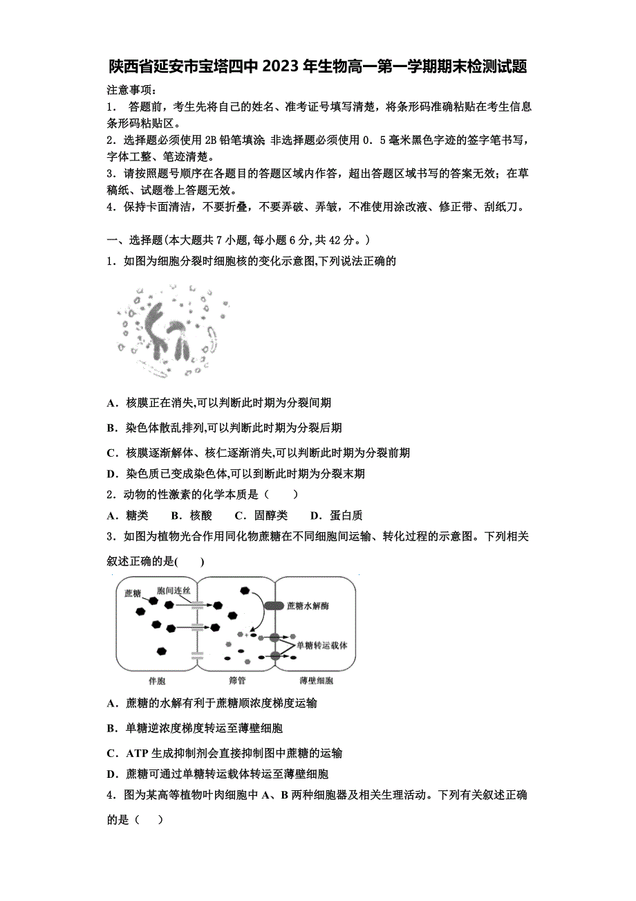 陕西省延安市宝塔四中2023年生物高一第一学期期末检测试题含解析_第1页