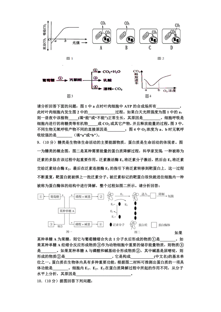 青岛第二十六中学2023年生物高一上期末监测试题含解析_第3页