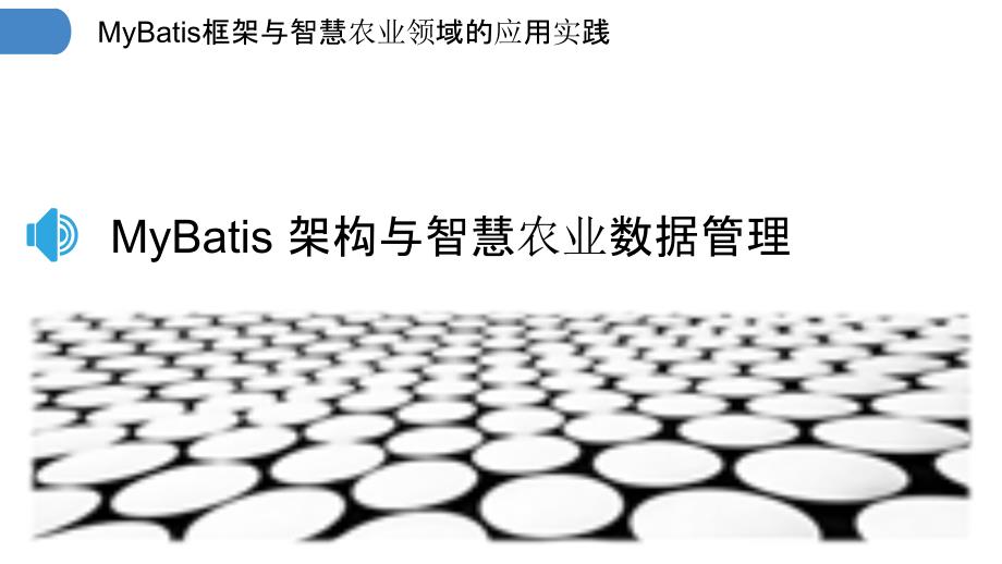 MyBatis框架与智慧农业领域的应用实践_第3页