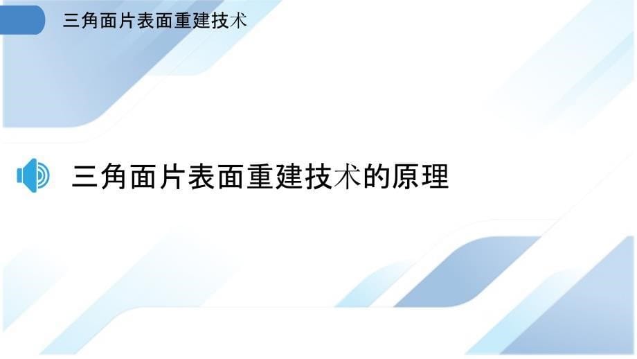 三角面片表面重建技术_第5页