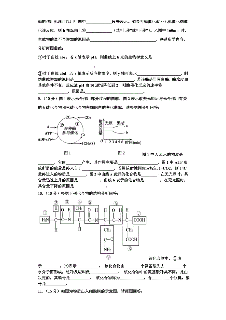 黑龙江省绥化市安达市第七中学2023年生物高一上期末监测模拟试题含解析_第3页