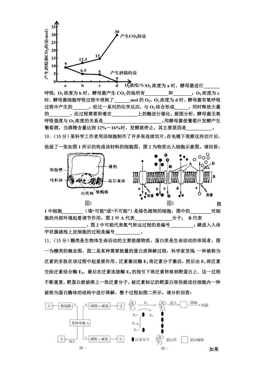 黑龙江省牡东部地区四校联考2023年高一生物第一学期期末监测试题含解析_第3页