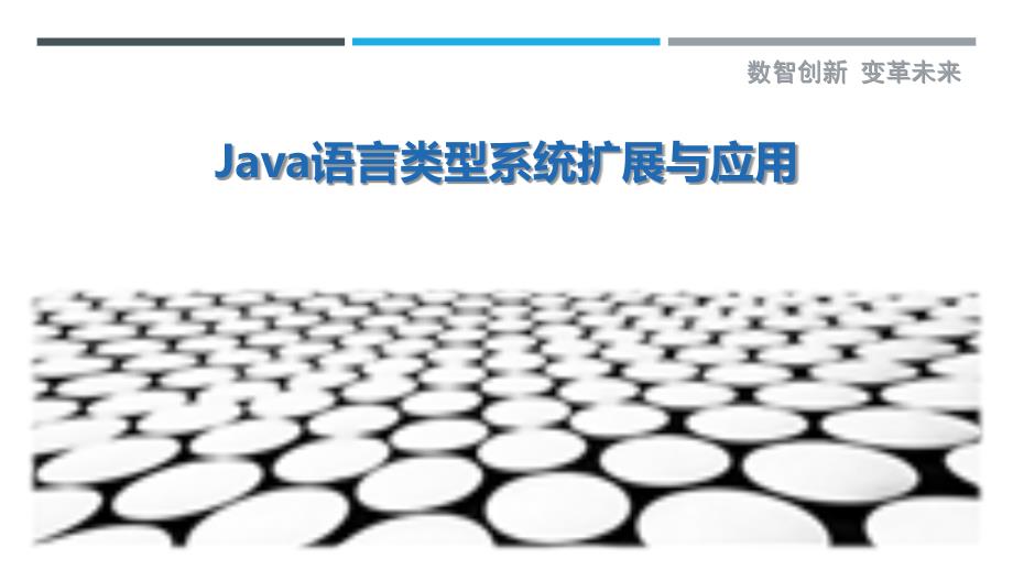 Java语言类型系统扩展与应用_第1页