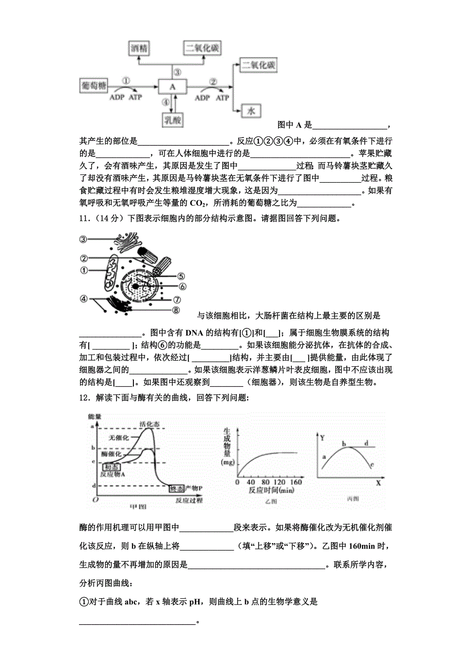 陕西省宝鸡市金台中学2023年生物高一上期末质量检测模拟试题含解析_第3页