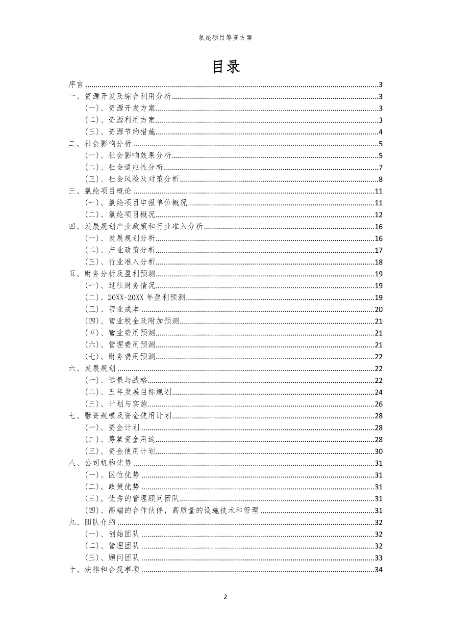2023年氯纶项目筹资方案_第2页