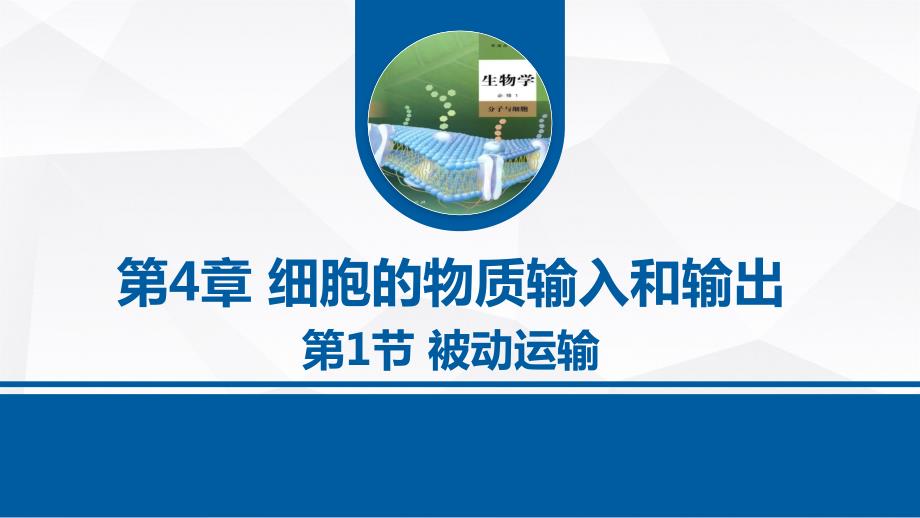 【生物】被动运输课件-2023-2024学年高一上学期生物人教版（2019）必修1_第1页