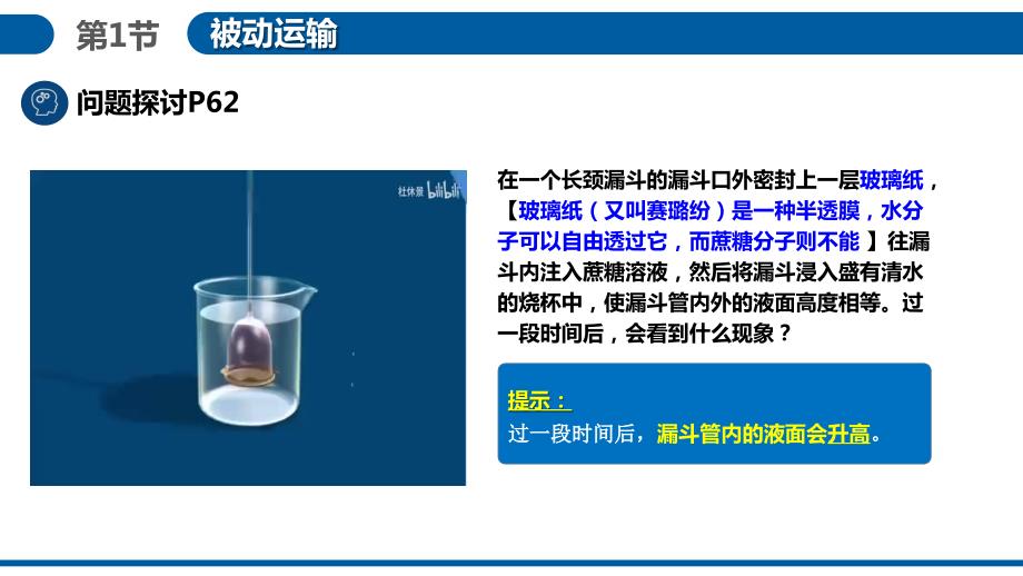 【生物】被动运输课件-2023-2024学年高一上学期生物人教版（2019）必修1_第3页