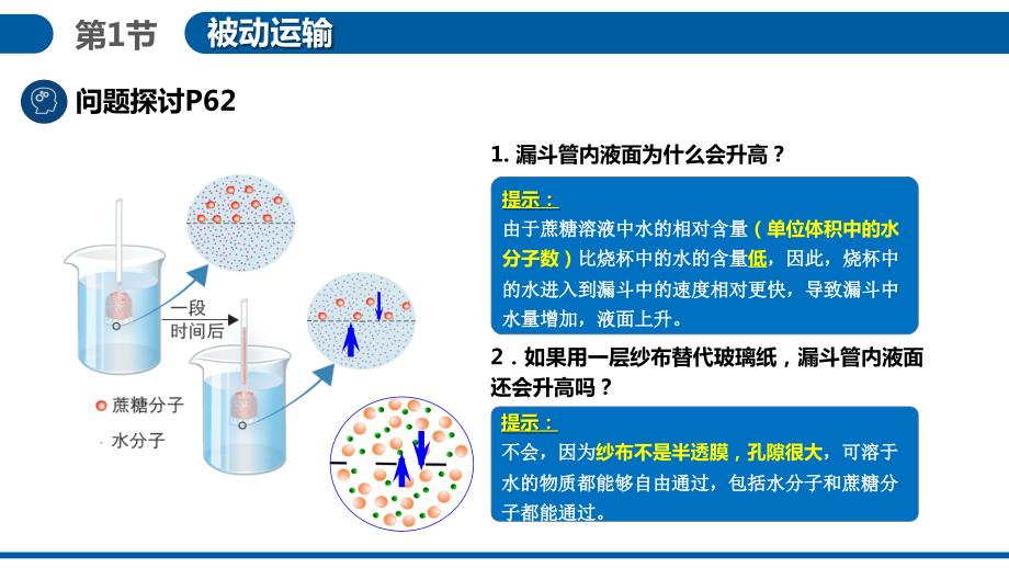 【生物】被动运输课件-2023-2024学年高一上学期生物人教版（2019）必修1_第4页