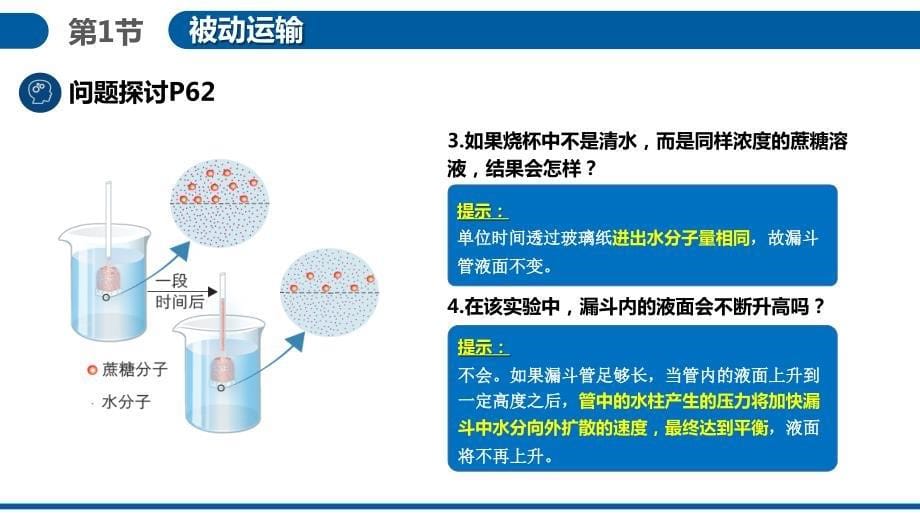 【生物】被动运输课件-2023-2024学年高一上学期生物人教版（2019）必修1_第5页