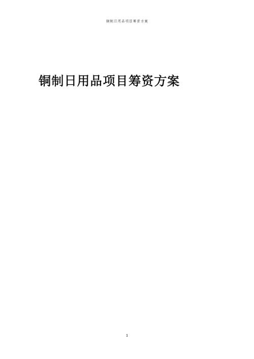 2023年铜制日用品项目筹资方案