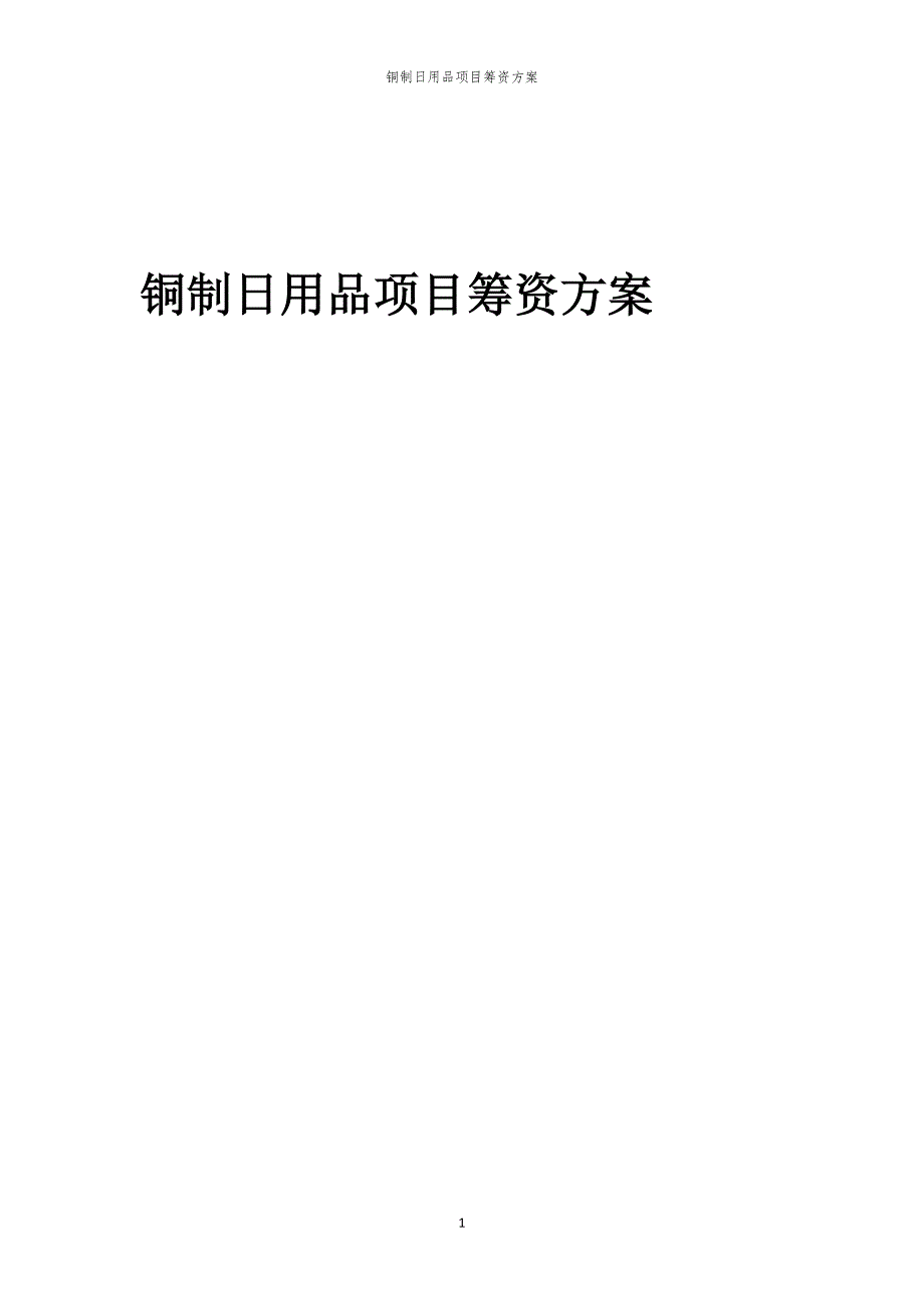 2023年铜制日用品项目筹资方案_第1页