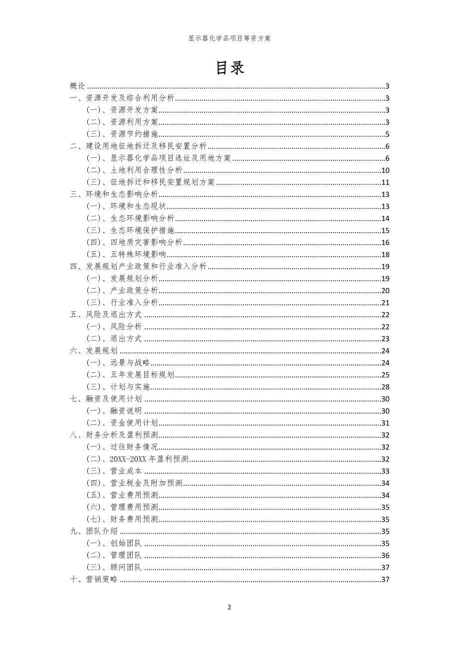 2023年显示器化学品项目筹资方案_第2页