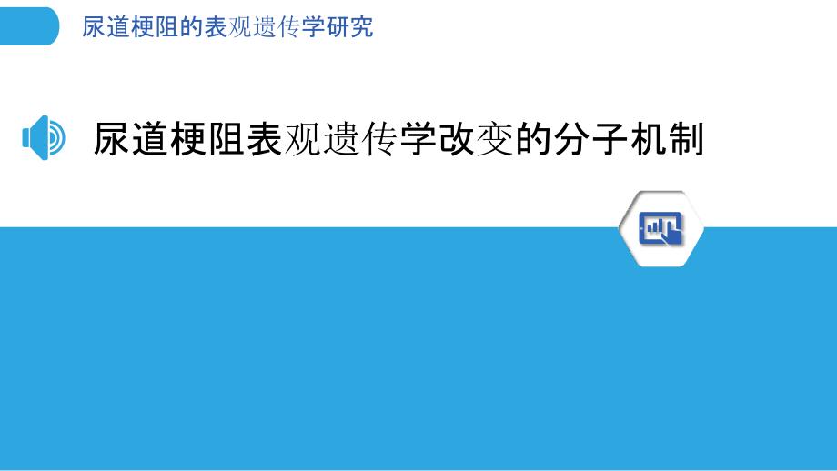 尿道梗阻的表观遗传学研究_第3页