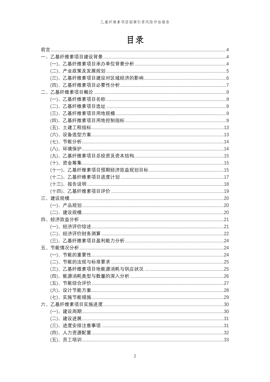 乙基纤维素项目招商引资风险评估报告_第2页