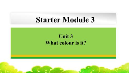 Starter+Module+3+Unit+3 外研版七年级英语上册