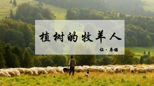 第13课《植树的牧羊人》课件-2023-2024学年统编版语文七年级上册