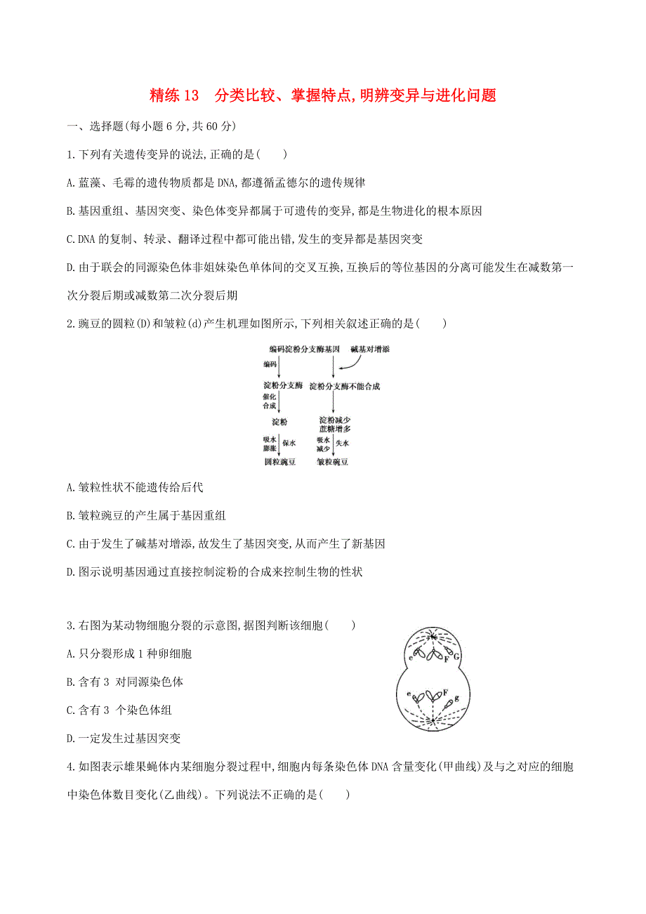 高考生物一轮复习 精练13 分类比较、掌握特点明辨变异与进化问题-人教版高三生物试题_第1页