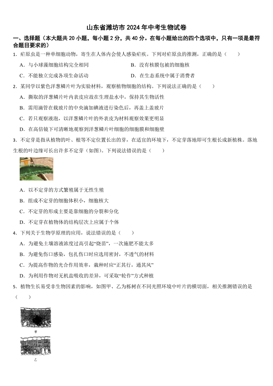 山东省潍坊市2024年中考生物试卷【附真题答案】_第1页