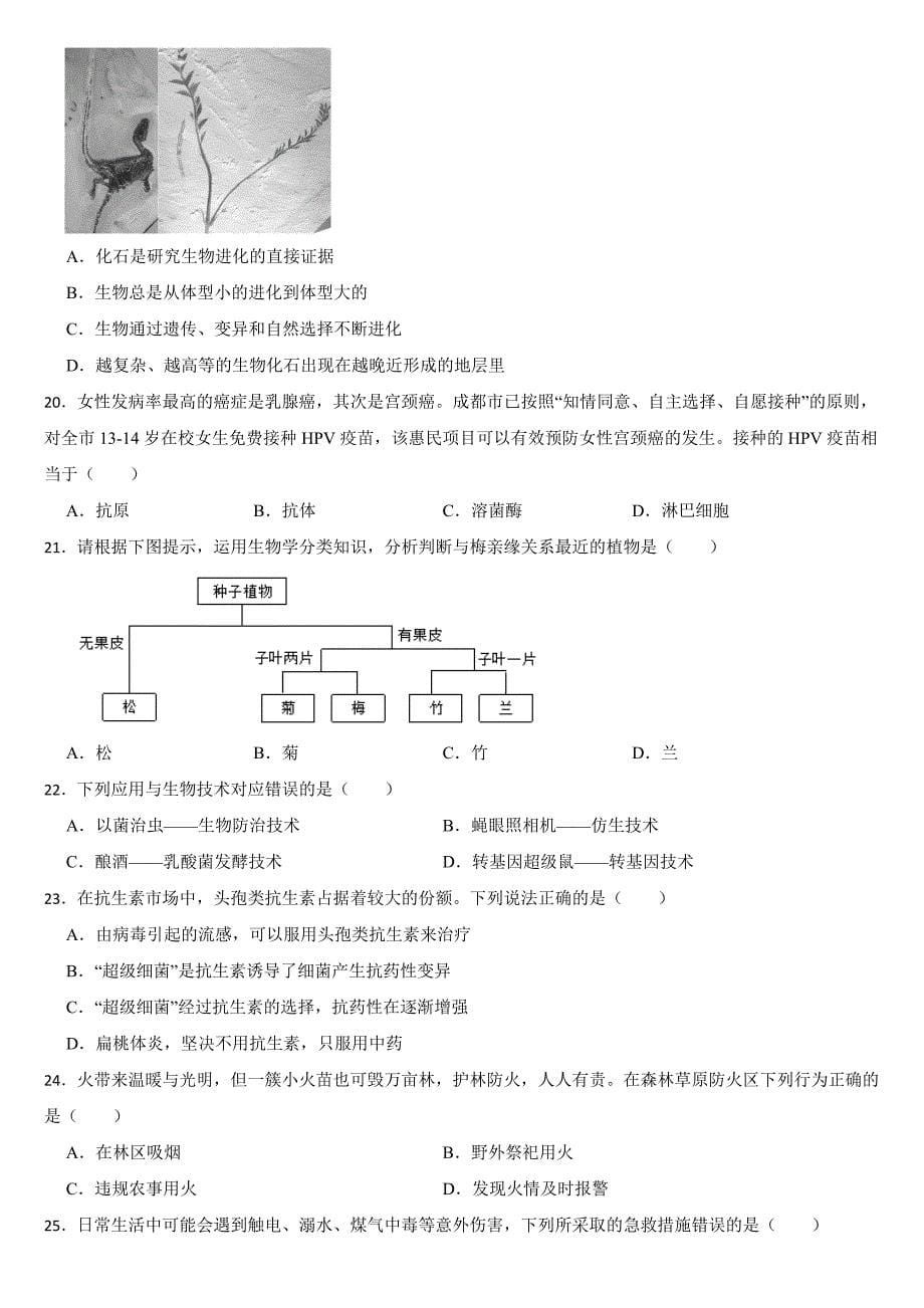 四川省凉山州2024年中考生物试卷【附真题答案】_第5页